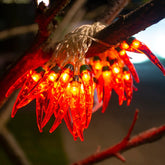 Guirlandes lumineuses au piment
